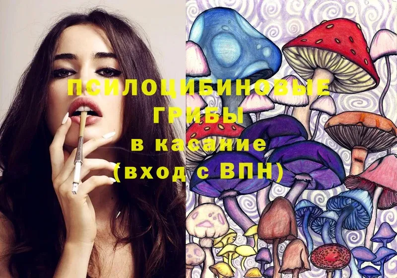 Галлюциногенные грибы Psilocybe  Балашов 